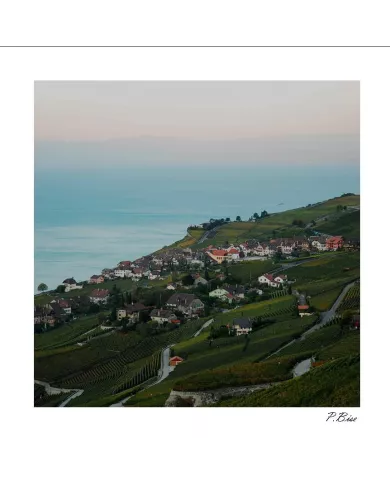 Carte C15 Lavaux N°19