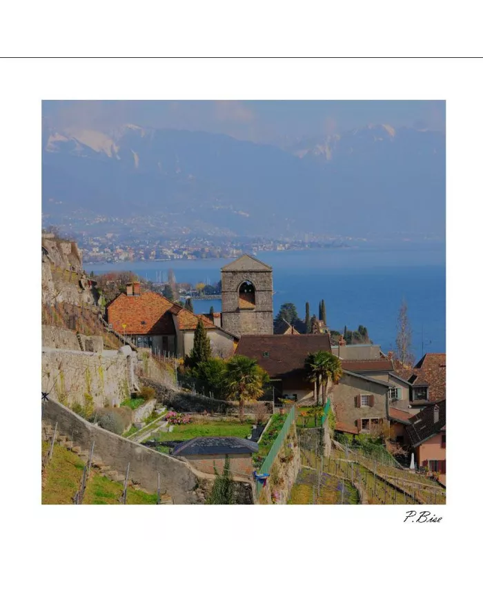 Carte C15 Lavaux N°5028