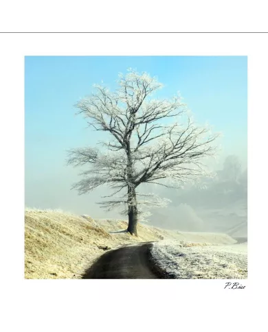 Carte C15 Hiver N°18