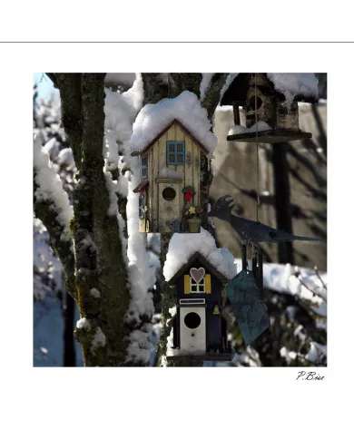 Carte C15 Hiver N°65