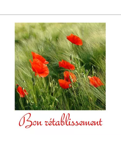 Carte C15 Rétablissement N°795