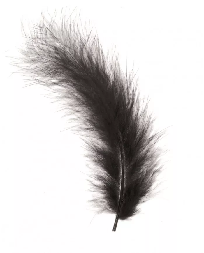 Plumes Marabout noir