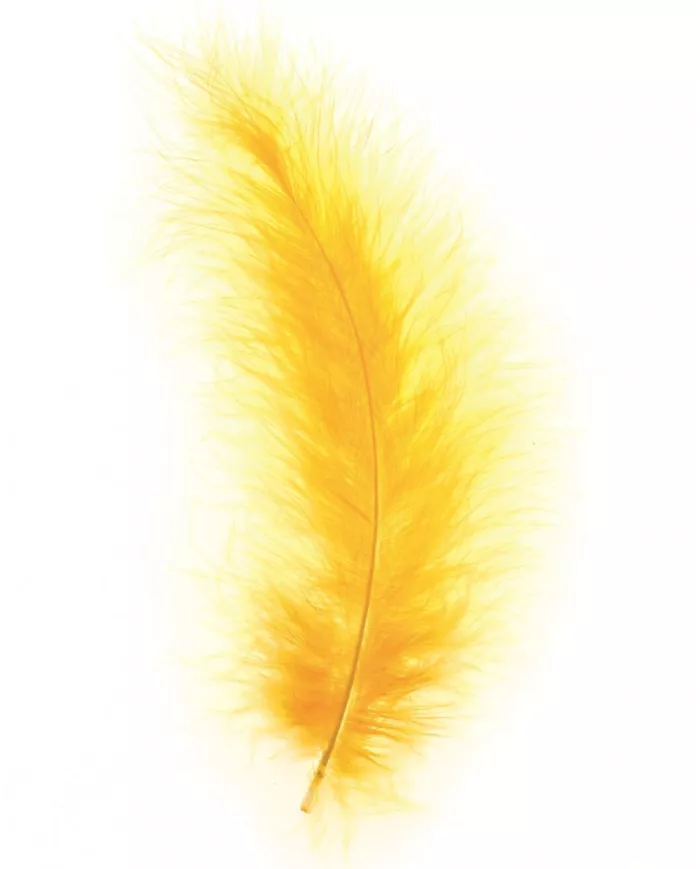 Plumes Marabout  jaune or