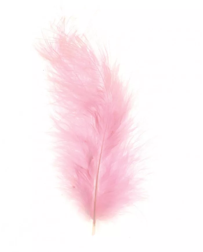 Plumes Marabout Rose