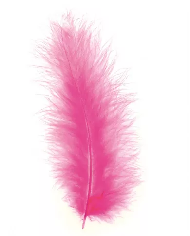 Plumes Marabout Pink