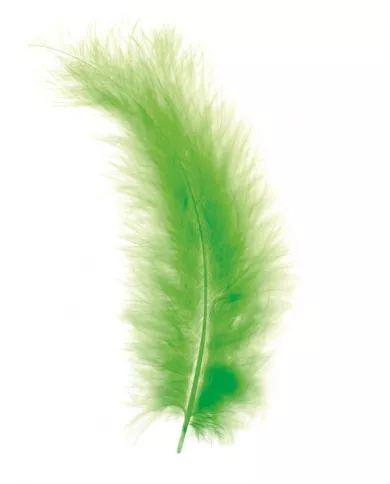Plumes Marabout vert Clair