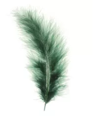 Plumes Marabout vert Clair