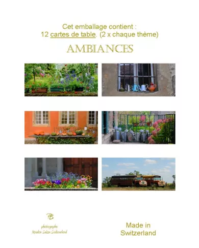 Paquet de 12 cartes de table - Ambiances