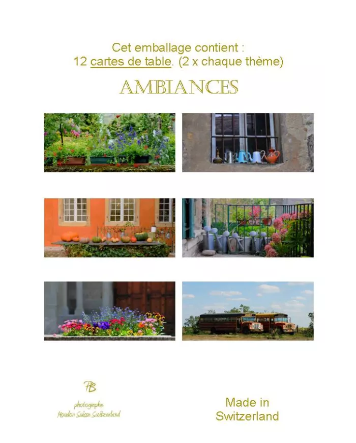 Paquet de 12 cartes de table - Ambiances