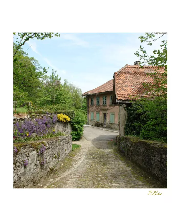 Carte Ambiance - 356-001