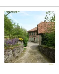 Carte Ambiance - 356-001