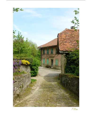 Carte Ambiance - 356-001