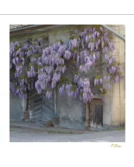 Carte Ambiance - 356-001