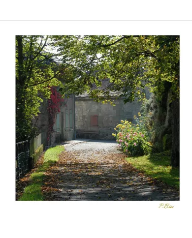 Cartes Ambiance - 03-001