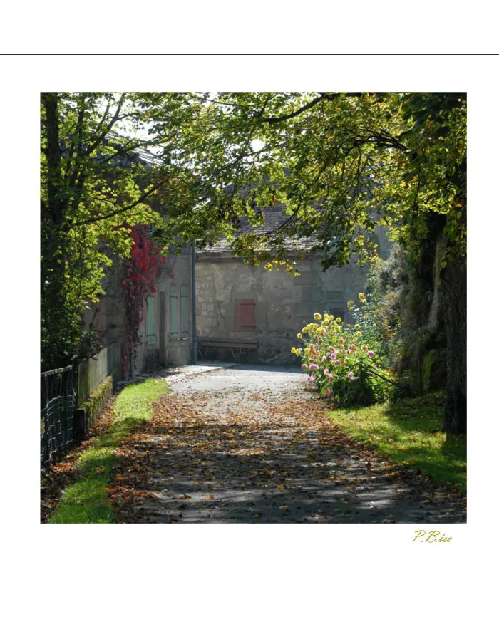 Cartes Ambiance - 03-001