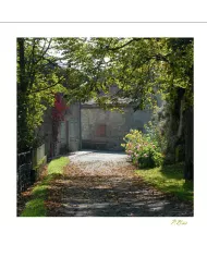 Cartes Ambiance - 03-001