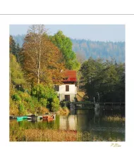 Cartes Ambiance - 71-001