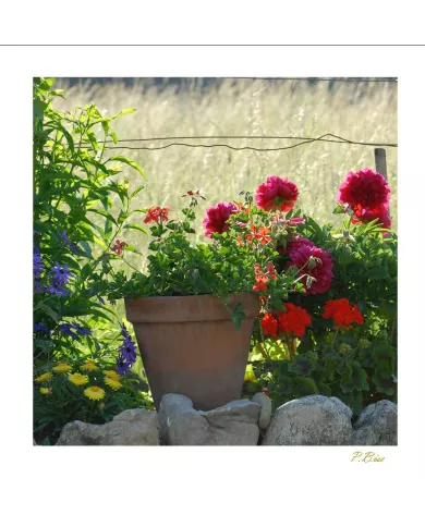 Cartes Ambiance - 71-001