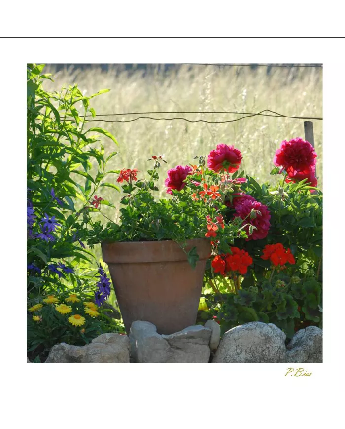 Cartes Ambiance - 71-001