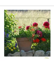 Cartes Ambiance - 654-001