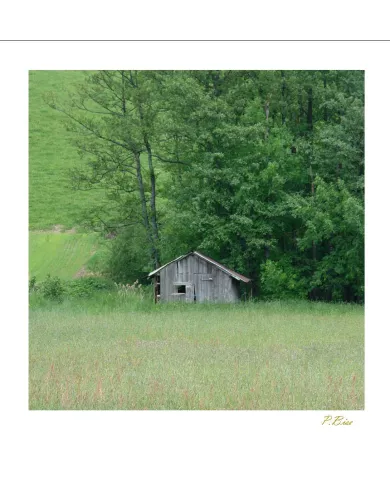 Cartes Ambiance - 654-001