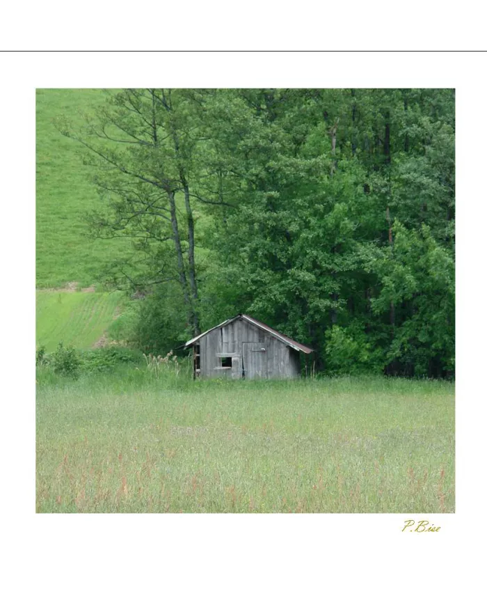 Cartes Ambiance - 654-001