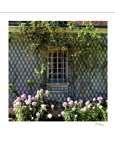 Cartes Ambiance - 2517-001