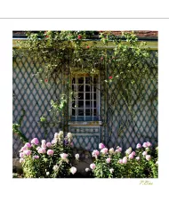 Cartes Ambiance - 2517-001