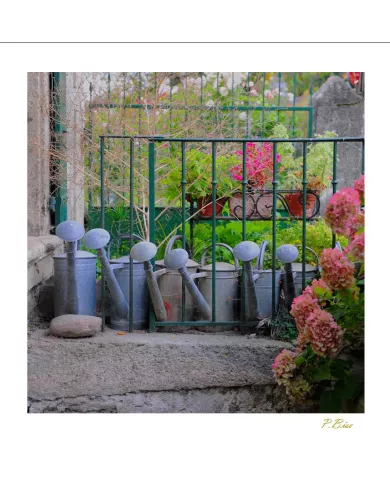 Cartes Ambiance - 3821-001