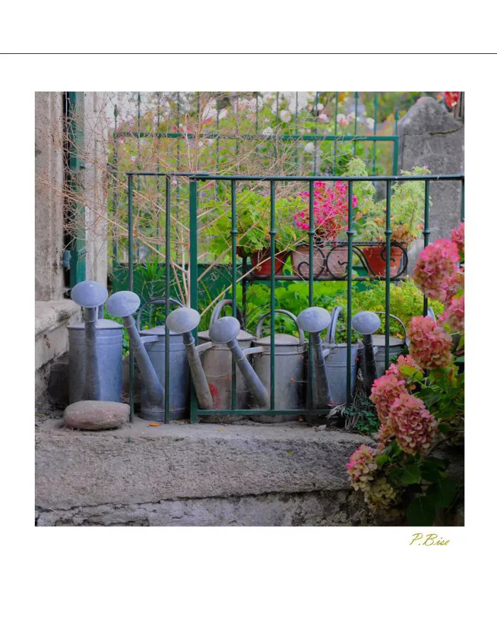 Cartes Ambiance - 3821-001