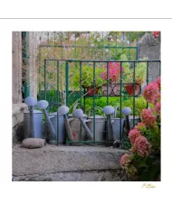 Cartes Ambiance - 2517-001