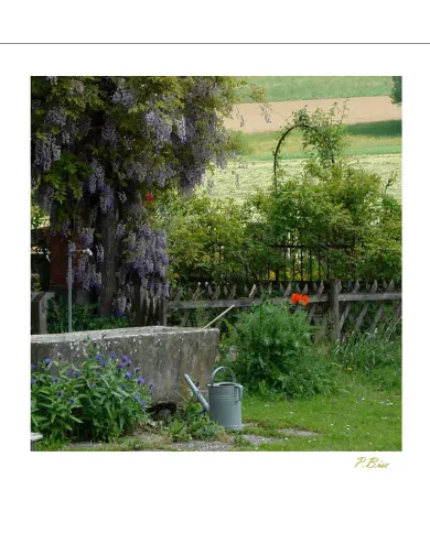 Cartes Ambiance - 648-001