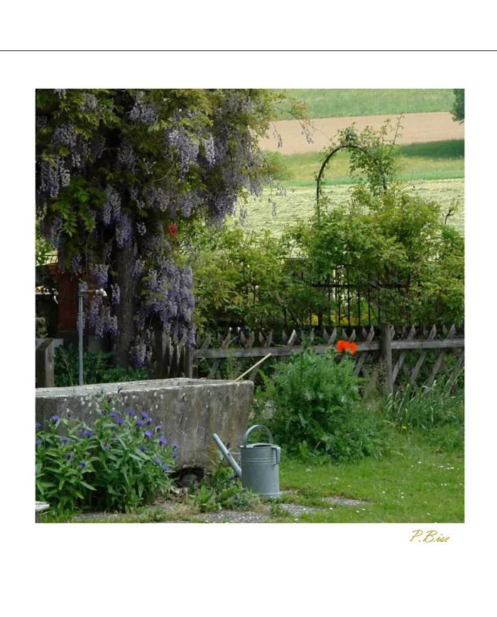 Cartes Ambiance - 648-001