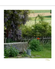 Cartes Ambiance - 2971-001