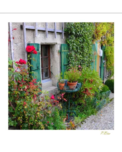 Cartes Ambiance - 3823-001