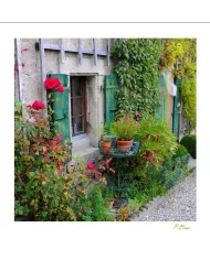 Cartes Ambiance - 3012-001