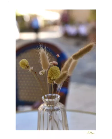 Cartes Ambiance - 3003-001