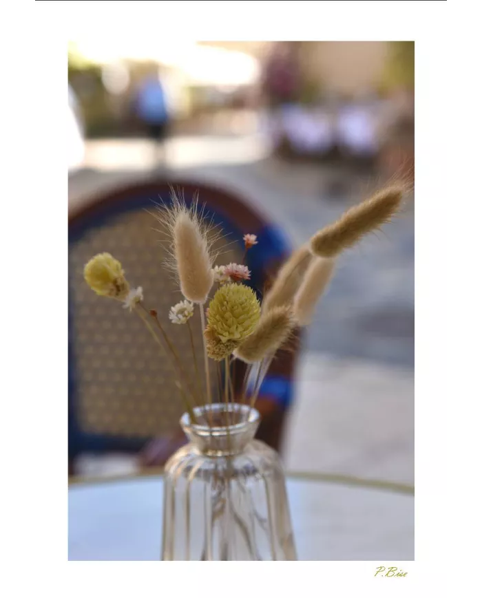 Cartes Ambiance - 3003-001