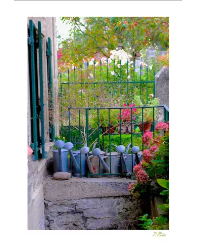 Cartes Ambiance - 3817-001