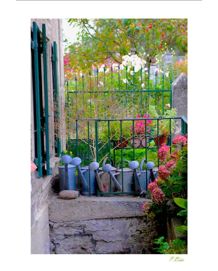 Cartes Ambiance - 3817-001