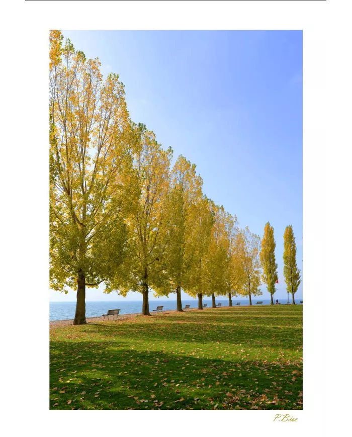 Cartes Ambiance - 4067-001