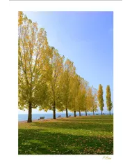 Cartes Ambiance - 97-001