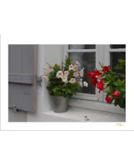 Cartes Ambiance - 97-001