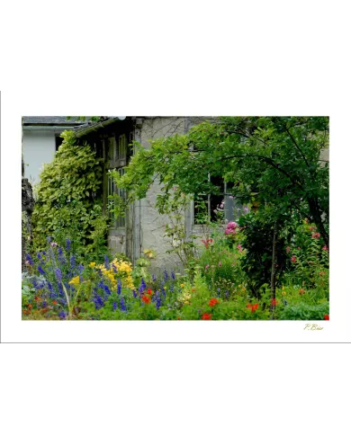 Cartes Ambiance - 142-001