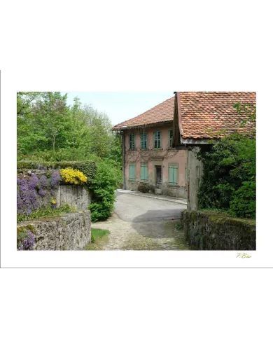 Cartes Ambiance - 358-001