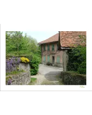 Cartes Ambiance - 358-001