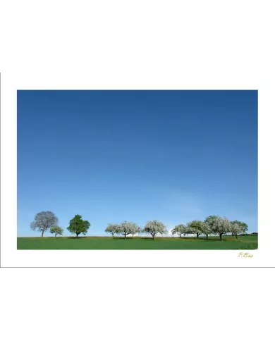 Cartes Ambiance - 388-001