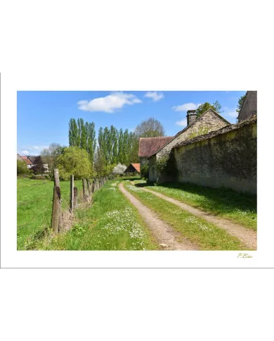 Cartes Ambiance - 2378-001