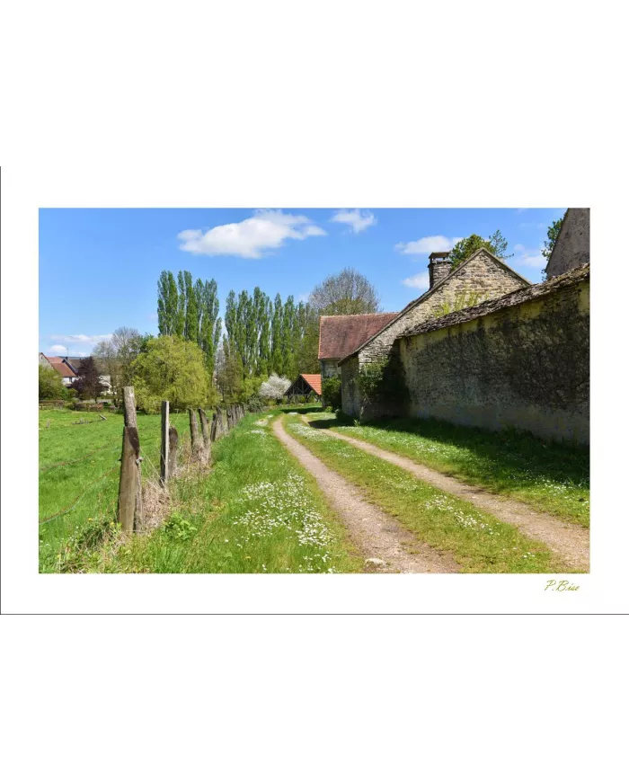 Cartes Ambiance - 2378-001