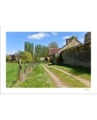 Cartes Ambiance - 2171-001